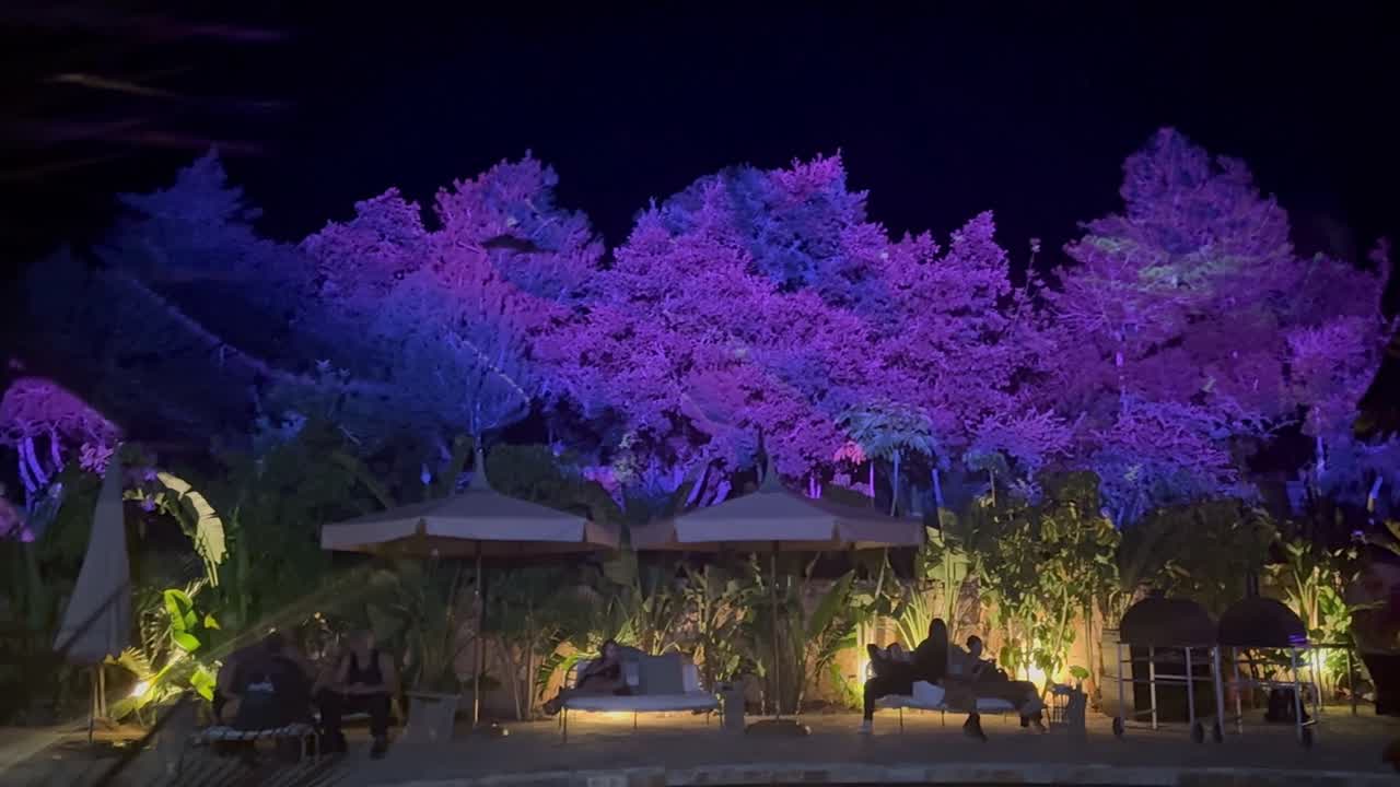 Luminous Grove — Immersive environment